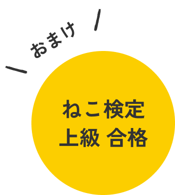 ねこ検定　上級　合格